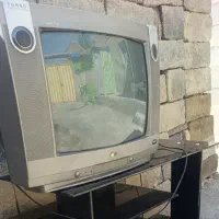 تلویزیون