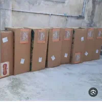 پخش عمده پتو|رختخواب، بالش، پتو|نورآباد, |دیوار