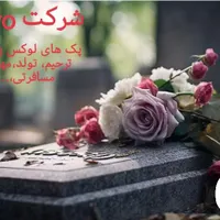 پک های لوکس vivo ویژه مراسم ترحیم و تولد|خدمات پذیرایی، مراسم|تهران, فاطمی|دیوار