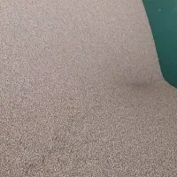 فروش بذر یونجه رنجر امریکای