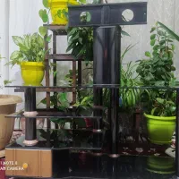 میز تلویزیون شیشه ای