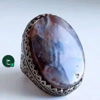 انگشتر شجر دریا