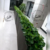 باکس گیاه کنار دیواری فلاورباکس گیاه قاشقی|گل مصنوعی|تهران, بروجردی|دیوار
