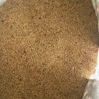 بذر یونجه|خدمات باغبانی و درختکاری|شاهین دژ, |دیوار