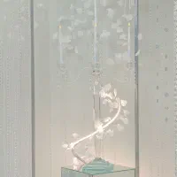 سالن عقد ساتین|خدمات پذیرایی، مراسم|بوشهر, |دیوار