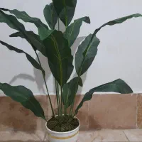 گلدان بزرگ مصنوعی|گل مصنوعی|نسیم‌شهر, |دیوار