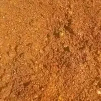 شبانه روزی خدمت شما عزیزان|حیوانات مزرعه|کرج, خرمدشت|دیوار