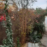 منزل-مبله-اجاره-کوتاه-مدت