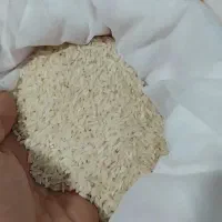 برنج دانه بلند و پر محصول فجرگرگان برند باریس