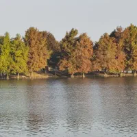 مهماندار کشتی تفریحی