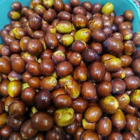 عناب