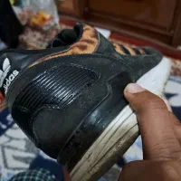 کتونی zx|کیف، کفش، کمربند|تهران, مشیریه|دیوار