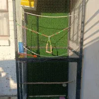 قفس|لوازم جانبی حیوانات|آبادان, |دیوار