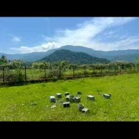 فروش زمین شهرکی سند تک برگ مشاع کاربری مسکونی