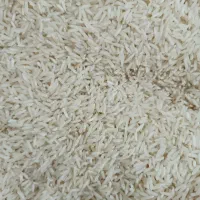 برنج تازه آسیاب شده امسال طارم فجر
