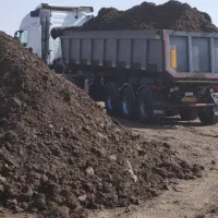 کود حیوانی گاوی و مرغی