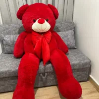 خرس ولنتاین