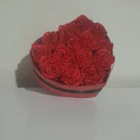 گل ربانی|گل مصنوعی|لنگرود, |دیوار