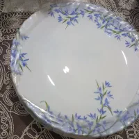 پلو خوری آلیا  فرانسه و ظروف  ژاپنی