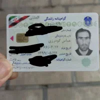 گمشده پیدا شده