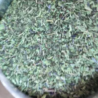 نعناع خشک شده|خوردنی و آشامیدنی|داران, |دیوار