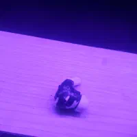 ایرپاد‌ سالم|پخش‌کننده همراه|نجف‌آباد, کشاورز|دیوار