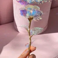 فروشنده خانم یا آقا