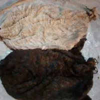 خیگ تازه
