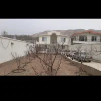 هرس کاری و قطره ای