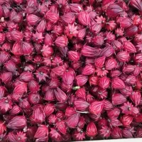 چای ترش تازه