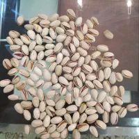 پسته به صورت کلی وجزیی