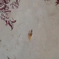 فرش|فرش|کرمانشاه, |دیوار