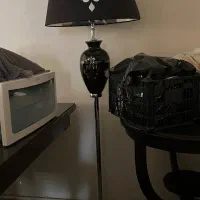 اباژور کنار سالنی