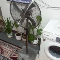 پنکه ایستاده