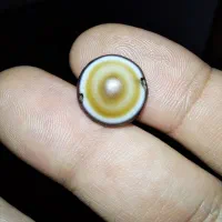 مهره سه پوست ساسانی یمن