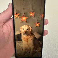 گوشی شیائمی redmi a5