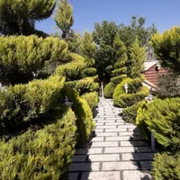 باغبانی هرس کاری کاشت چمن وو..|خدمات باغبانی و درختکاری|کرج, گلشهر|دیوار