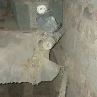 کبوتر گم شده