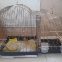 قفس پرنده