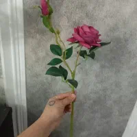 آباژور|چراغ خواب و آباژور|آبادان, |دیوار