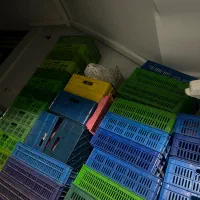 تعداد زیادی سبد