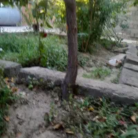 خانه ویلایی|فروش خانه و ویلا|گلبهار, بیزکی|دیوار