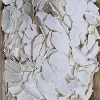 کشک چیپسی|خوردنی و آشامیدنی|اصفهان, لنبان|دیوار