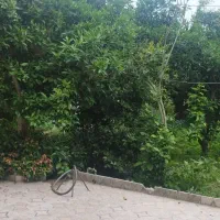 ویلا پای کوه|اجارهٔ کوتاهمدت ویلا و باغ|لاهیجان, لیالستان|دیوار