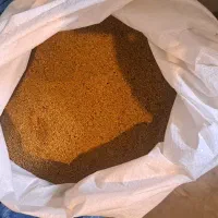بذر یونجه همدان محلی ومرغوب  فروش  عمده وخرده|خدمات باغبانی و درختکاری|قشلاق دشت, |دیوار