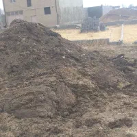 فروش کود حیوانی گاو