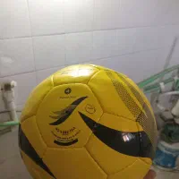 توپ ش ۴ سالنی تنبل