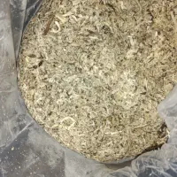 تفاله چغندر قند