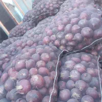 پیاز قرمز سیاه