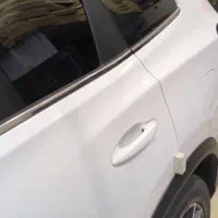 دودی تیگو